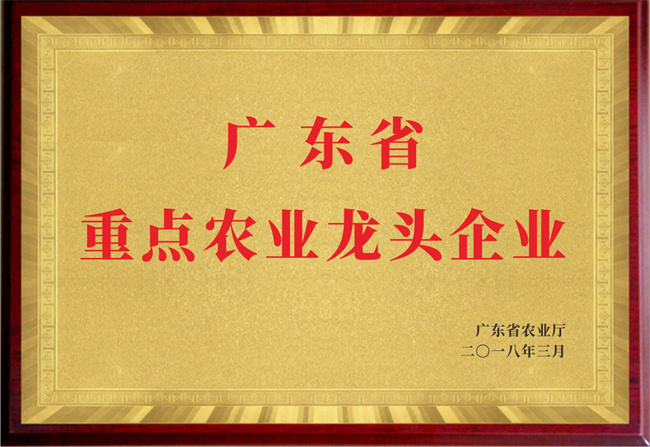 广东省重点农业龙头企业